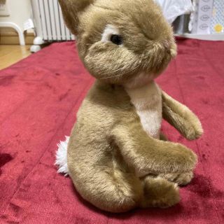 ピーターラビット(PETER RABBIT（TM）)のピーターラビット ぬいぐるみ うさぎ(キャラクターグッズ)