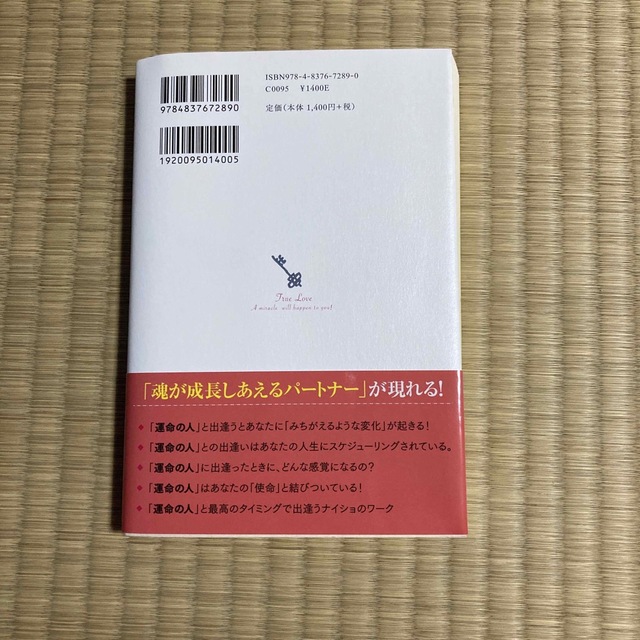 田宮陽子運命の人 あなたに「愛の奇跡」を起こす本 エンタメ/ホビーの本(住まい/暮らし/子育て)の商品写真