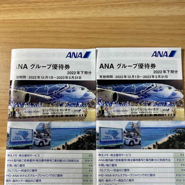 ANA(全日本空輸)(エーエヌエー(ゼンニッポンクウユ))のANA株式優待券1枚＋グループ優待券2冊 チケットの優待券/割引券(その他)の商品写真