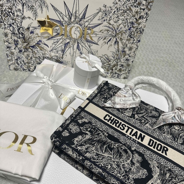 DIOR BOOK TOTE スモールバック ミッツァ | www.jarussi.com.br