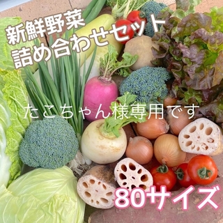 【新鮮！美味しい！】季節の採れたて野菜 詰め合わせセット 80サイズ(野菜)