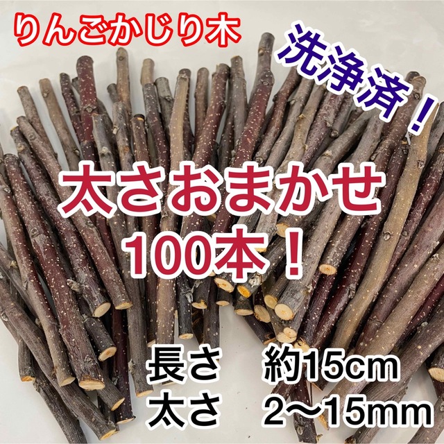 りんごの枝　無農薬かじり木　青森県津軽産　細〜太めおまかせ100本セット洗浄済 その他のペット用品(小動物)の商品写真