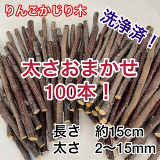 りんごの枝　無農薬かじり木　青森県津軽産　細〜太めおまかせ100本セット洗浄済(小動物)