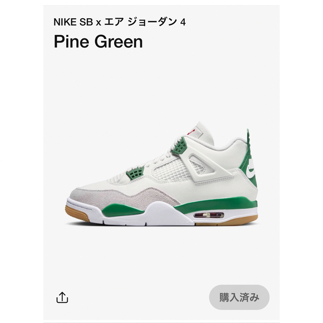 Nike SB × Air Jordan 4 "Pine Green"25.5