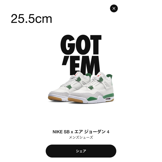 ナイキNIKE SB AJ4 Pine Green 25.5 エア ジョーダン4