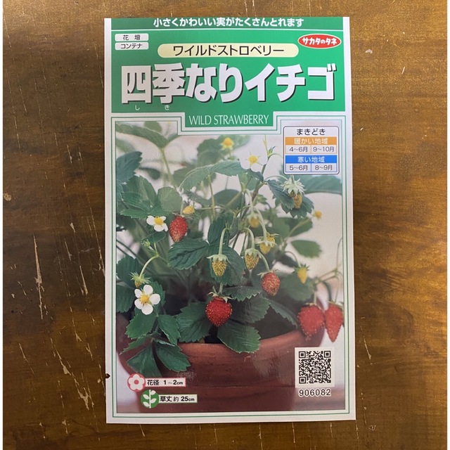 四季なり苺　種20粒 ハンドメイドのフラワー/ガーデン(その他)の商品写真