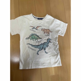 コドモビームス(こども ビームス)の【BEAMS mini】恐竜Tシャツ  130㎝(Tシャツ/カットソー)