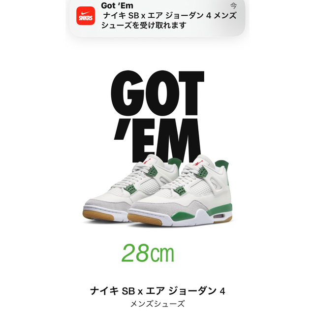 ナイキ SB × エアジョーダン4 "パイングリーン" Nike SB 28cmダンク