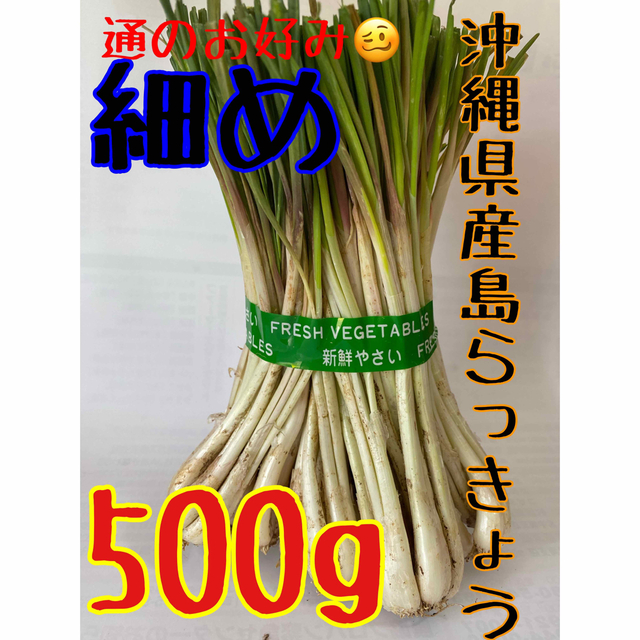 当日収穫☀️沖縄県産　島らっきょう　細め500g  食品/飲料/酒の食品(野菜)の商品写真