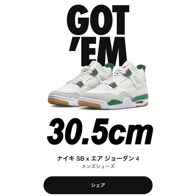 Nike SB × Air Jordan 4"Pine Green" 30.5㎝