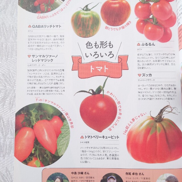 NHK 趣味の園芸 やさいの時間 2018年 3月号 エンタメ/ホビーの雑誌(専門誌)の商品写真