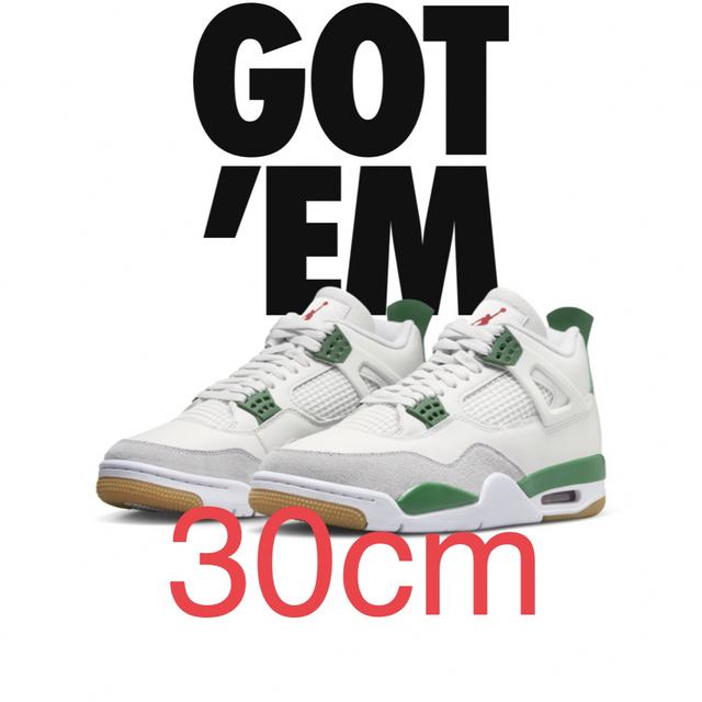 Nike SB × Air Jordan 4 "Pine Green" 30cm