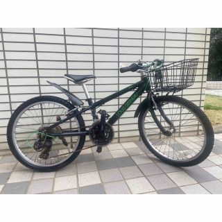 LOUIS GARNEAU - Nobby1999様専用 ルイガノLGS-J22 22インチ 都内