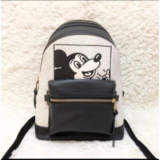 コーチ(COACH)の【激レア　定価8万超】新品同様coachキースヘリング限定コラボ　リュック　(リュック/バックパック)