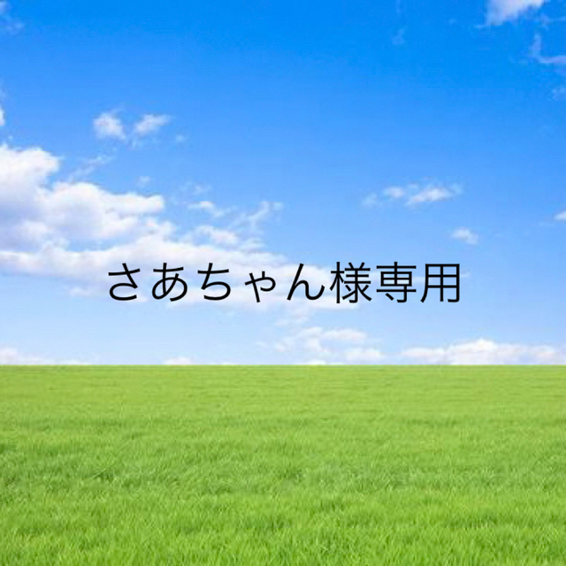 さあちゃん様専用 - その他