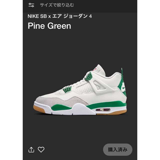 NIKE(ナイキ)のNIKE SB AIR JORDAN4 PINE GREEN 28 送料込み メンズの靴/シューズ(スニーカー)の商品写真