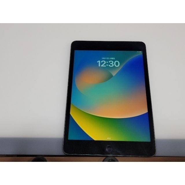 iPad mini5 第5世代　64GB Wi-Fi+Cellular 3