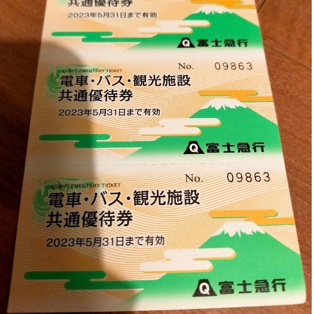 富士急ハイランドフリーパス チケットの施設利用券(遊園地/テーマパーク)の商品写真