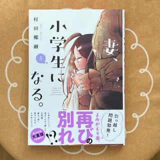 妻、小学生になる。 ５(青年漫画)