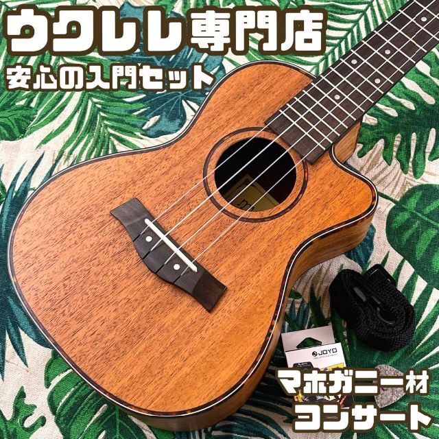 music】マホガニー材単板！弾きやすいコンサート・ウクレレ【入門