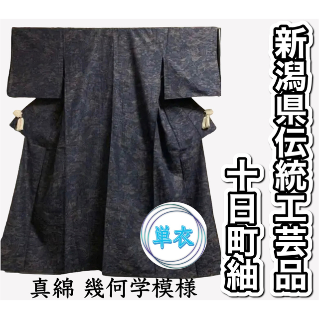 372. ☄【翠・単衣】新潟県伝統工芸品 十日町紬 真綿 幾何学模様-