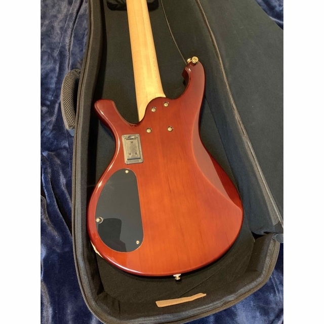 最終値下げ 美品 LANDSCAPE LSB-205 5弦 ベース 売れ筋ランキングも