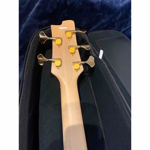 最終値下げ 美品 LANDSCAPE LSB-205 5弦 ベース 【高い素材】 46000円