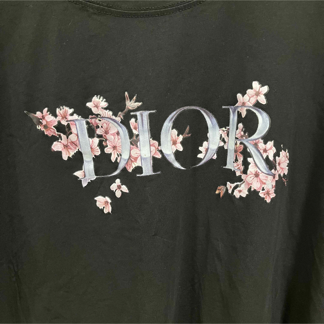 桜　黒半袖Tシャツ メンズのトップス(Tシャツ/カットソー(半袖/袖なし))の商品写真