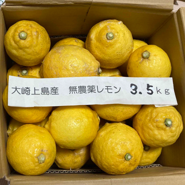 広島県大崎上島産無農薬レモン3.5kgの通販　by　ヒーロー's　shop｜ラクマ