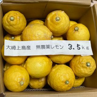 広島県大崎上島産無農薬レモン3.5kg(フルーツ)