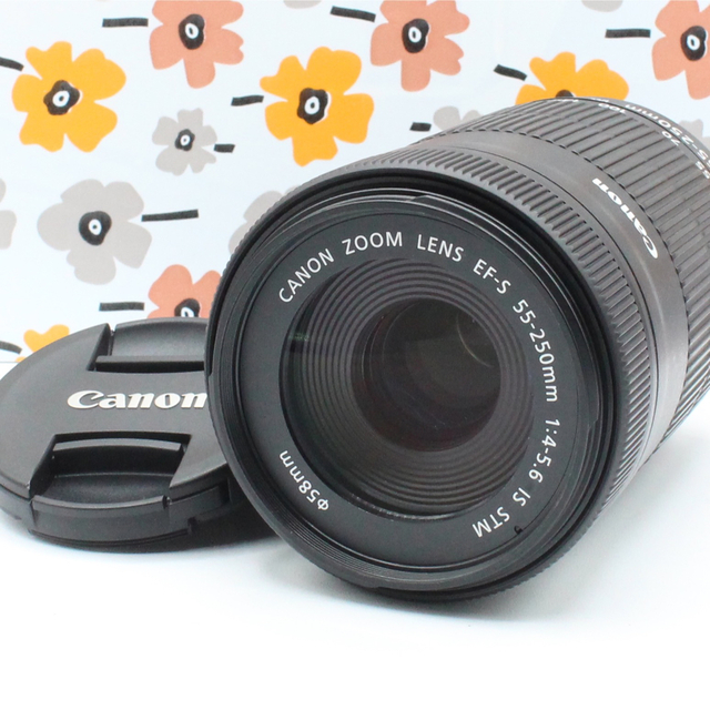 傷擦れ無しのほぼ新品❤️Canon  EF-S55-250mm IS STM