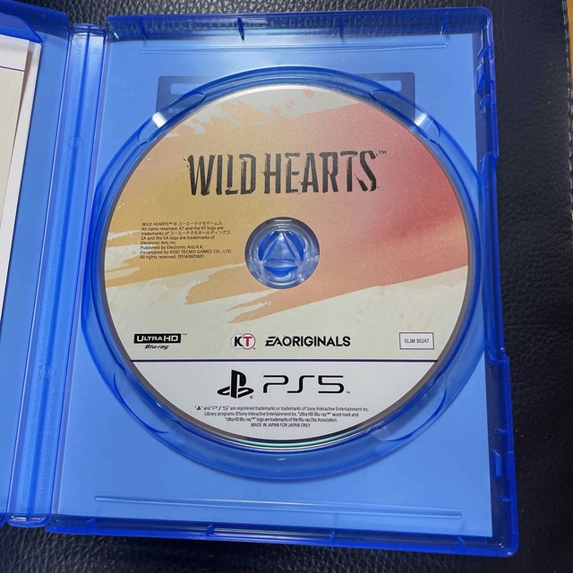 WILD HEARTS PS5 ワイルドハーツ