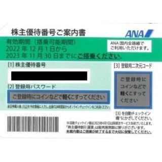 エーエヌエー(ゼンニッポンクウユ)(ANA(全日本空輸))のANA 株主優待券(その他)