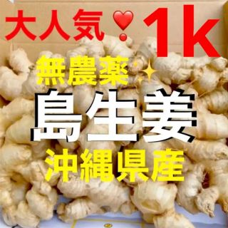 0321②訳あり❗️無農薬✨沖縄県産新鮮島生姜✨1キロ分✅(野菜)