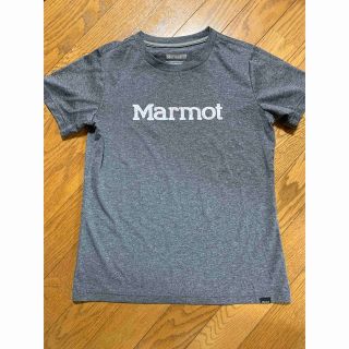 マーモット(MARMOT)のmarmot Tシャツ 登山(登山用品)