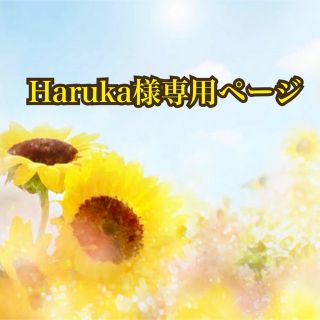 Haruka様専用ページの通販|ラクマ