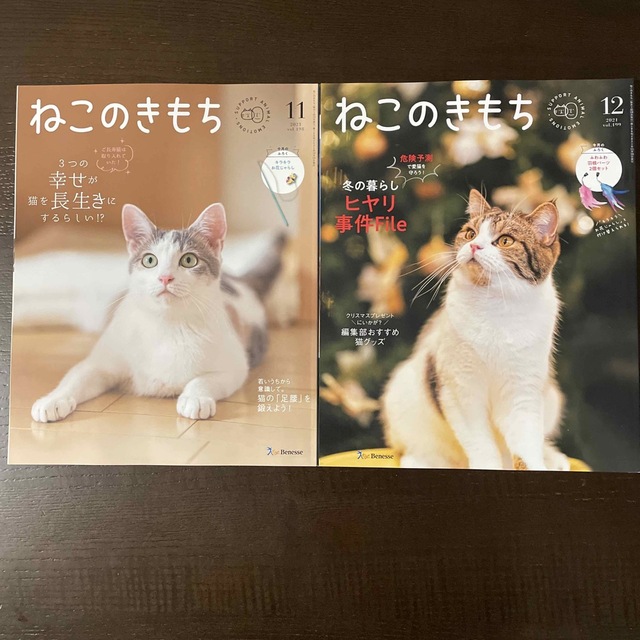 Benesse(ベネッセ)のねこのきもち　2021年7月号〜12月号　本誌6冊セット エンタメ/ホビーの雑誌(専門誌)の商品写真