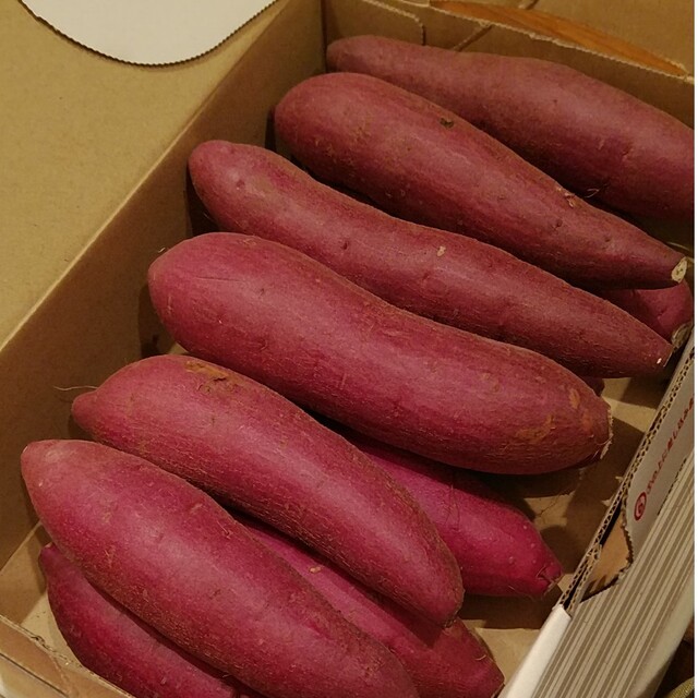 75 千葉県産　べにはるか　さつまいも　サツマイモ　約1.2㎏ 食品/飲料/酒の食品(野菜)の商品写真