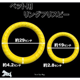 2点セット 犬用 EVA リングフリスビー(S&Lサイズ・青) 噛む