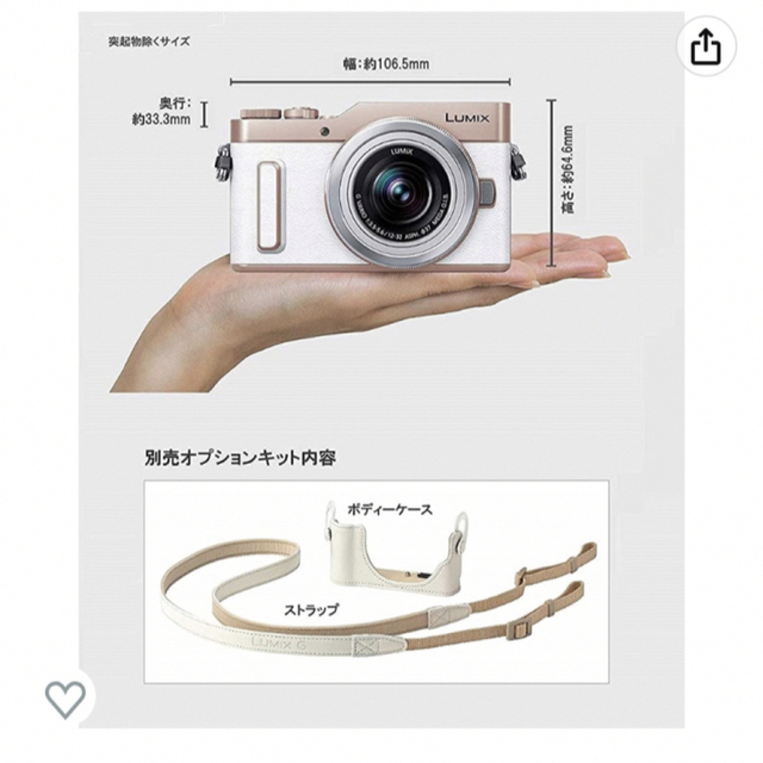 Panasonic ミラーレス一眼 LUMIX ストラップ付きカメラ