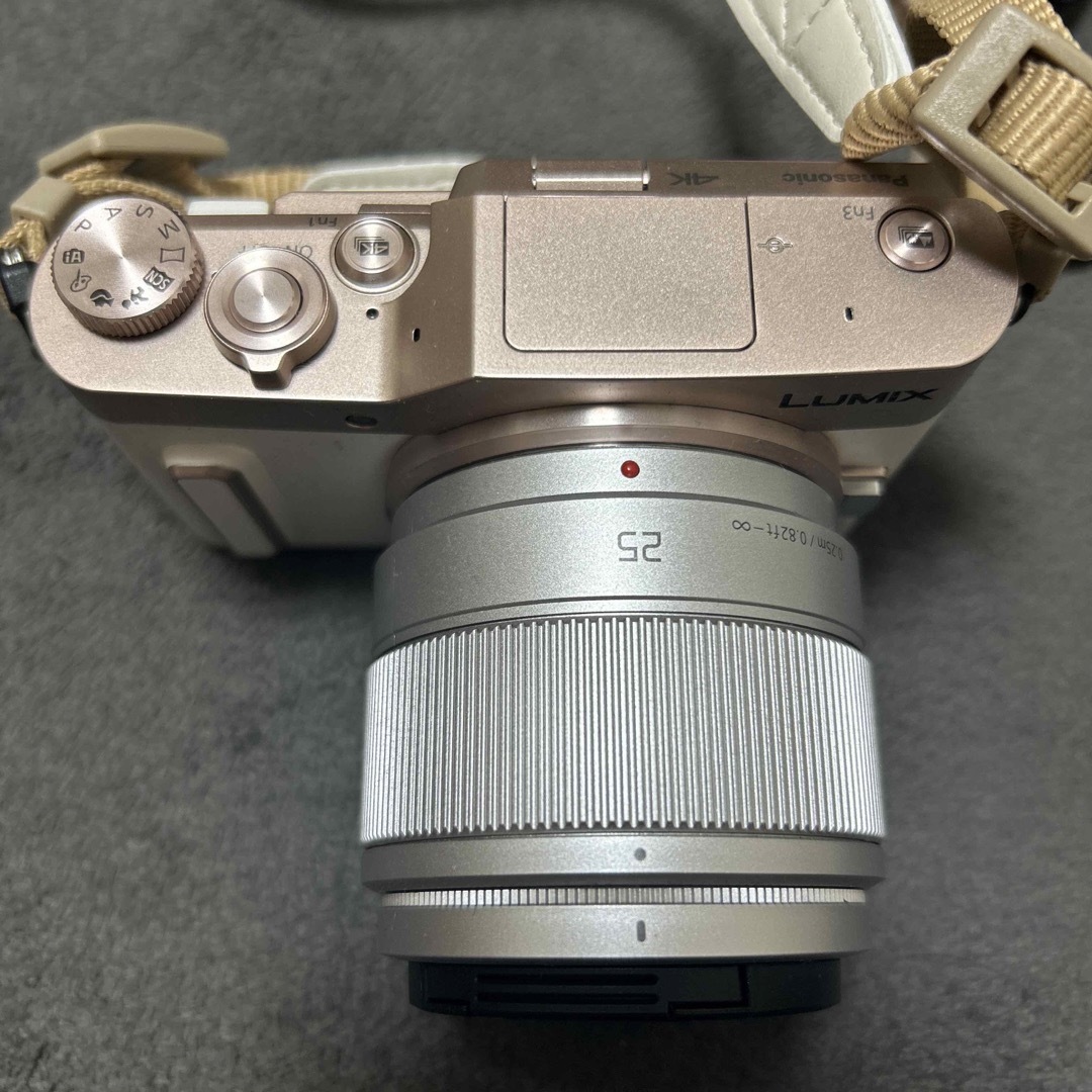 Panasonic ミラーレス一眼 LUMIX ストラップ付きカメラ