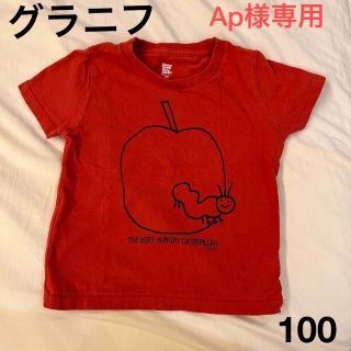 グラニフ(Design Tshirts Store graniph)の【専用】グラニフ　はらぺこあおむし　Tシャツ100 ボーダーと2枚(Tシャツ/カットソー)