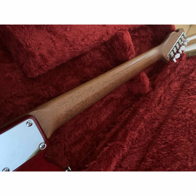 サイケデリズム　Psychederhythm Standard T 楽器のギター(エレキギター)の商品写真