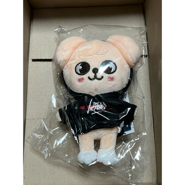 skzoo puppyM  スンミン　ぬいぐるみ　ミニ　plush mini