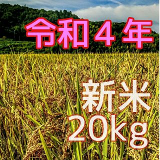 令和４年産新米 低農薬玄米２０キロ 山田錦の里より農家直送　(精米サービス中)(米/穀物)