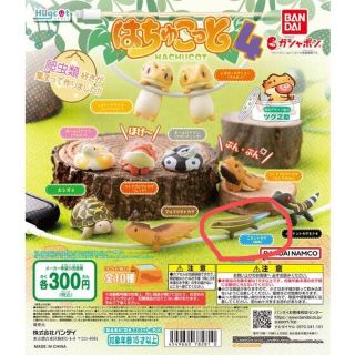 バンダイ(BANDAI)のはちゅこっと 4ニホントカゲ(爬虫類/両生類用品)