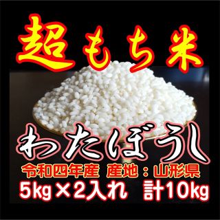 もち米１０kg　ふわふわお餅のわたぼうし!　令和４年産(米/穀物)