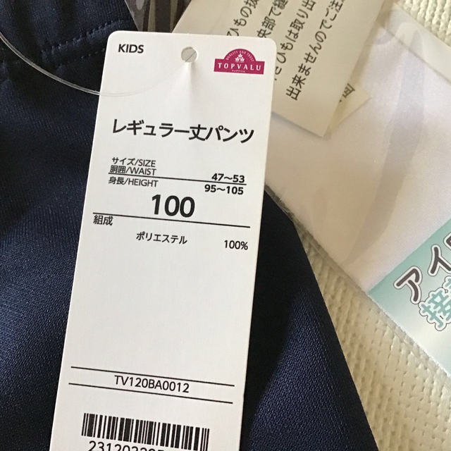 AEON(イオン)のタグ付き キッズ スイミング 水着 レギュラー丈パンツ 男児 100cm キッズ/ベビー/マタニティのキッズ服男の子用(90cm~)(水着)の商品写真