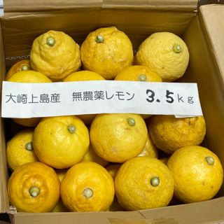 広島県大崎上島産無農薬レモン　3.5kg(フルーツ)