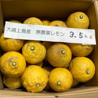 広島県大崎上島産無農薬レモン　3.5kg(フルーツ)